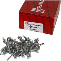 Meridyen Trapez Vidası 4,8X16 500 Adet 3